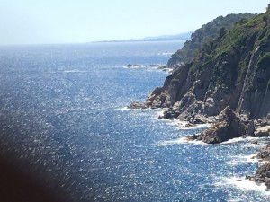 Szkolenie: Jak znaleźć pracę jako ratownik wodny z innymi kwalifikacjami przydatnymi w ratownictwie wodnym w Hiszpanii?